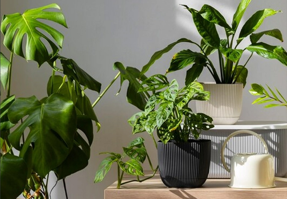 Provide Barrel Planters for Your Outdoor Space
