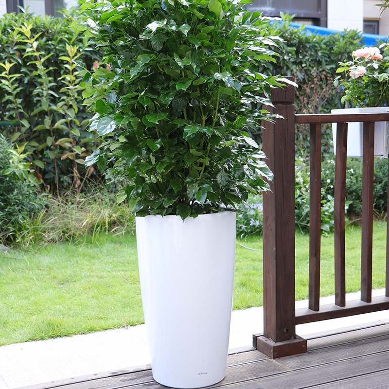 HG-3301/3302/3303 Modern Glossy Painted Flower Pot
