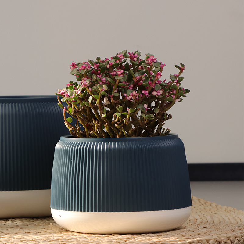 ZX-21/22/23 Stylish Vibrant Colorful Flower Pot