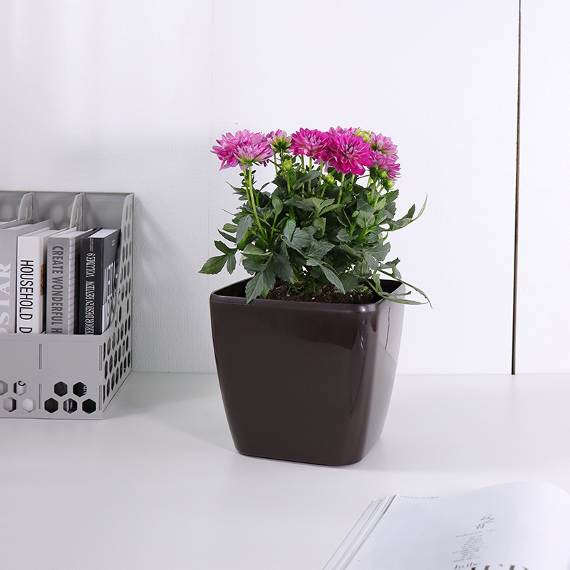 HG-3107/3108/3109/3110 Multicolored Elegant Painted Flower Pot