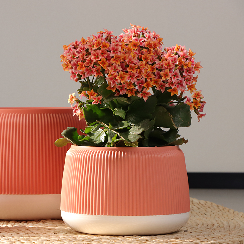 ZX-21/22/23 Stylish Vibrant Colorful Flower Pot