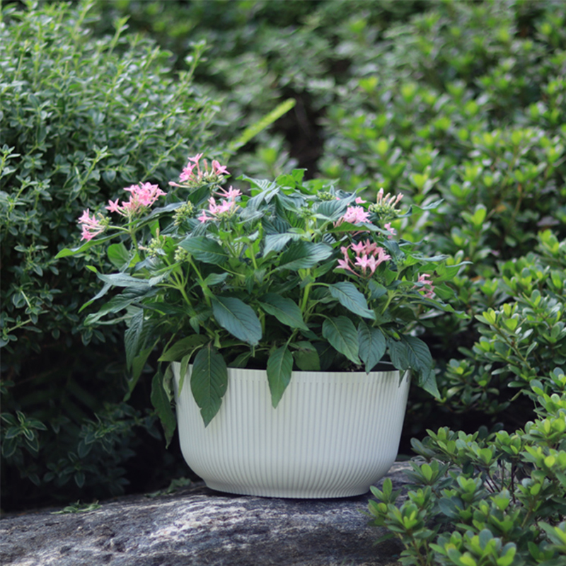 DW-1/2/3 Creative Vivid Colorful Flower Pot