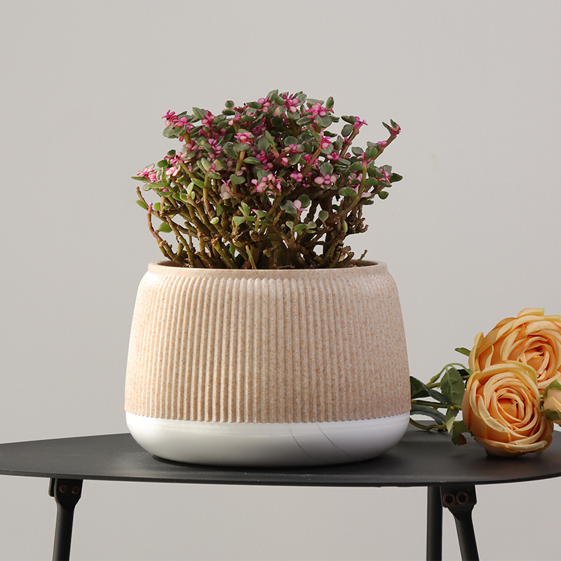 ZX-21/22/23 Stylish Vibrant Colorful Flower Pot