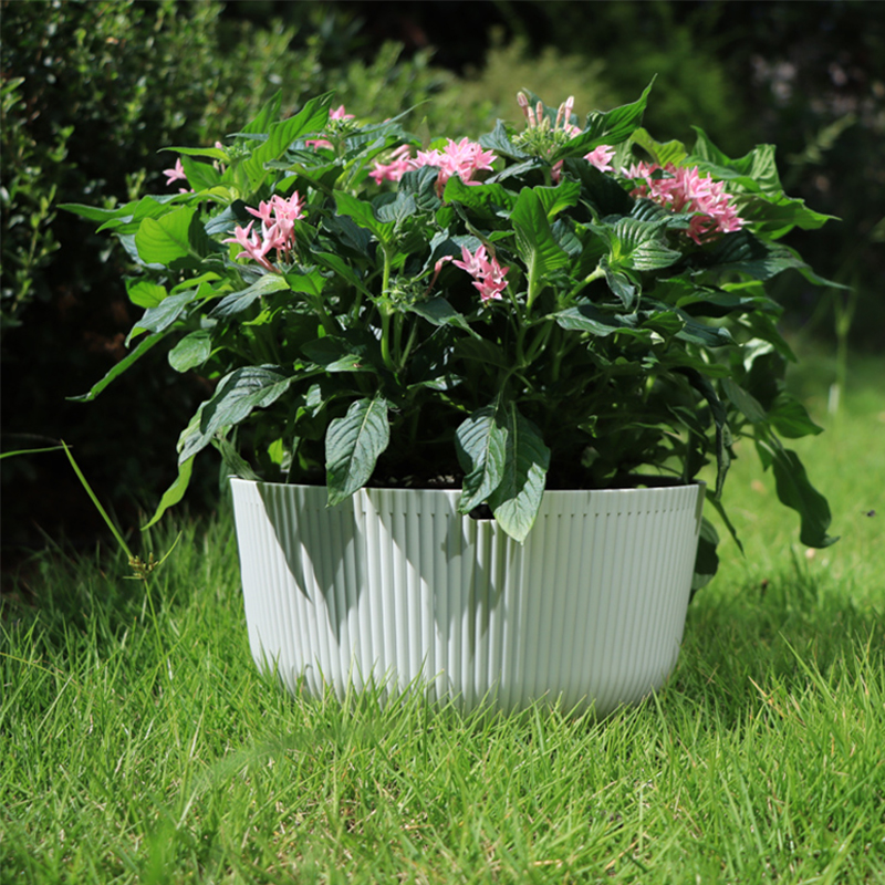 DW-1/2/3 Creative Vivid Colorful Flower Pot