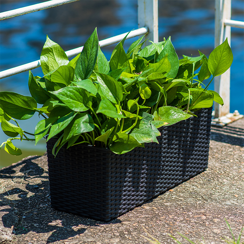 TB-01/02 Sustainable Classic-designed Rattan Flower Pot