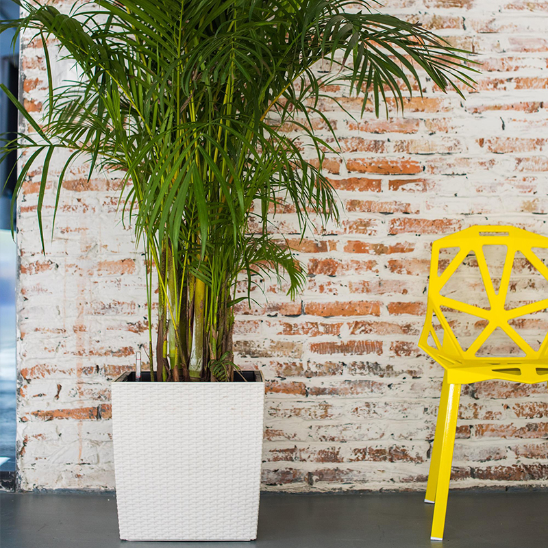 TB-03 Unique Delicate Rattan Flower Pot