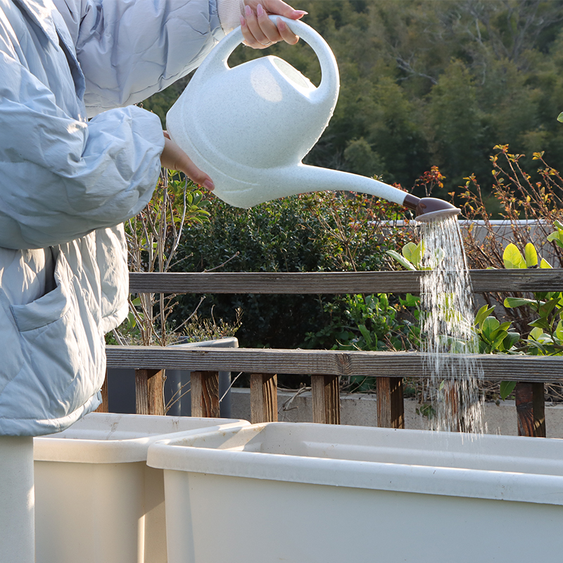 SH-2010 Elegant Watering Can