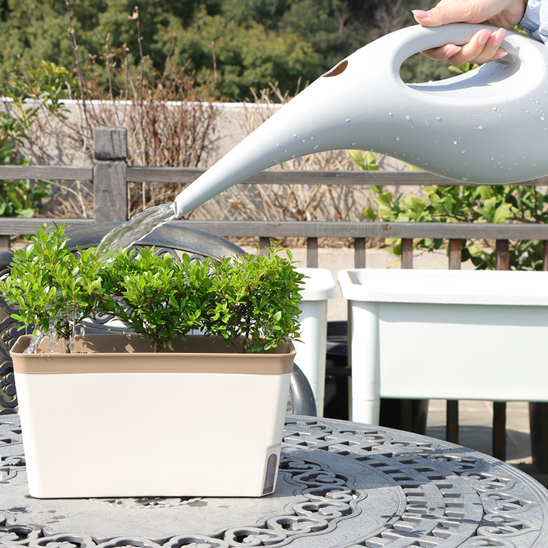 SH-1001/1002 Aesthetic Watering Can