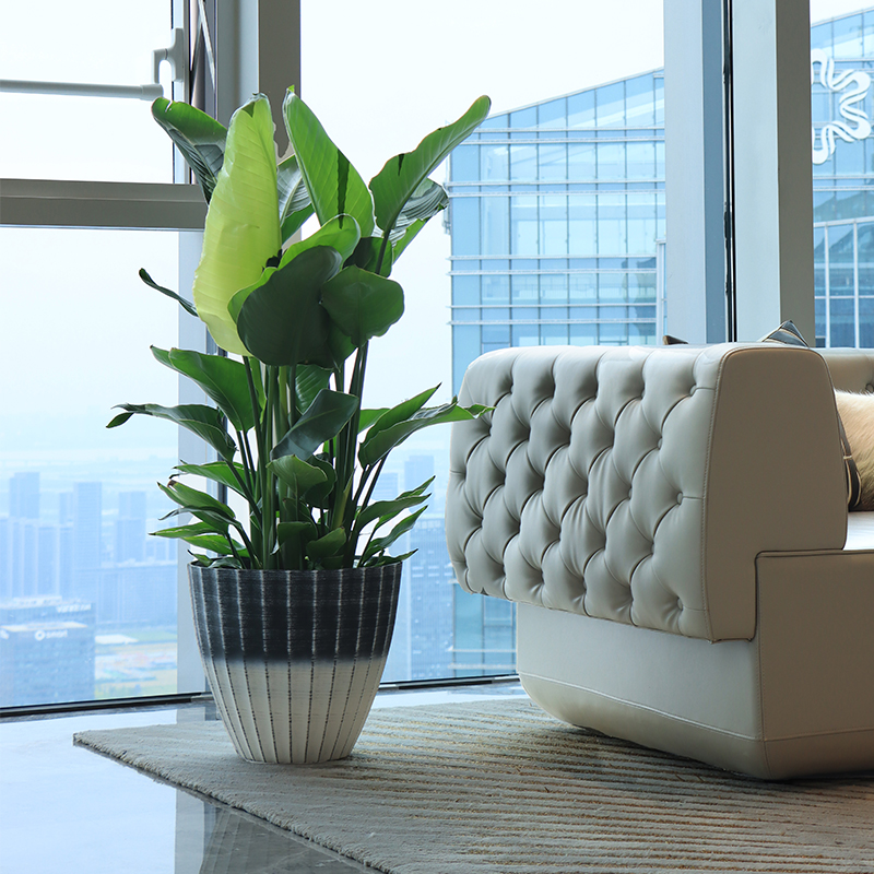 Large Indoor Decorative Flower Pots