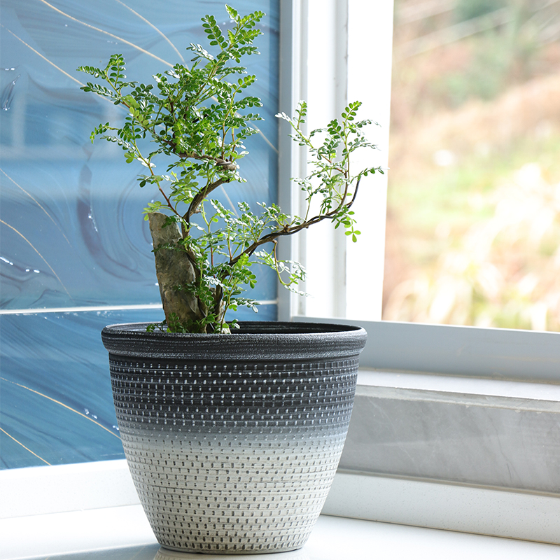 Round Multi-size Indoor Flower Pots