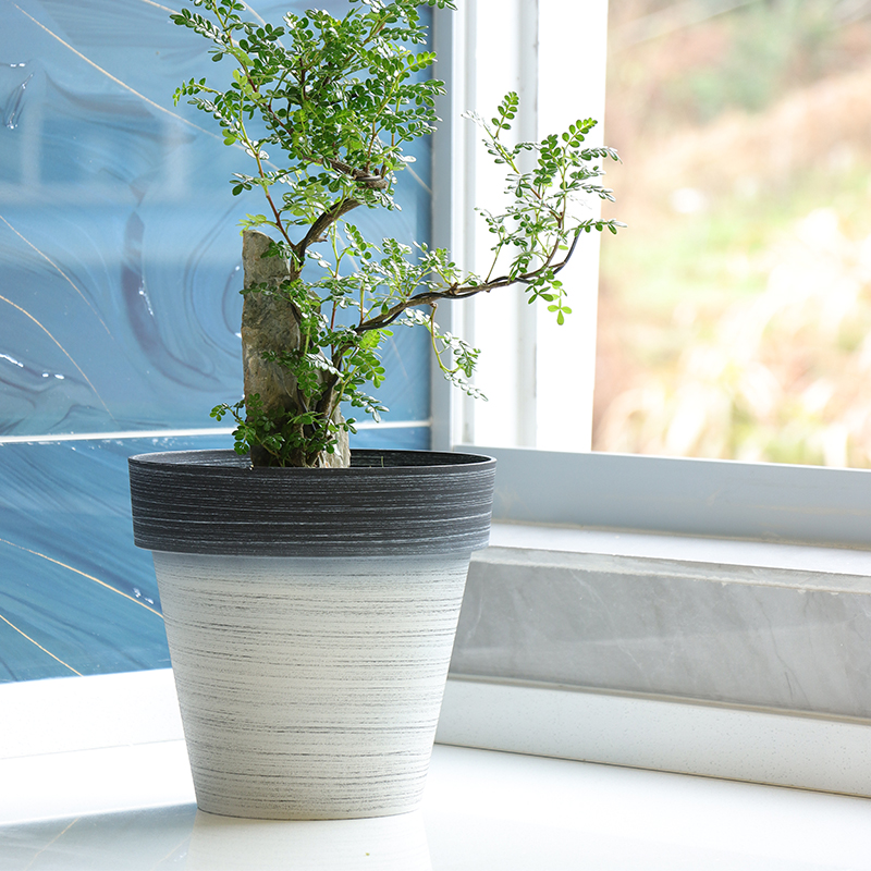 Large Outdoor Plastic Flower Pots