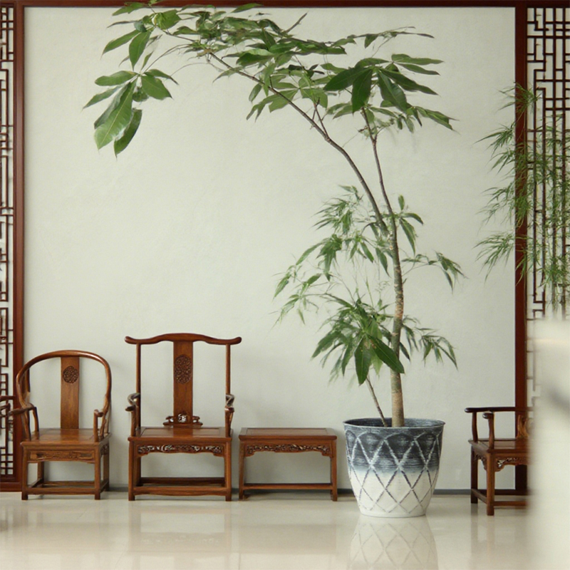Round Indoor Decorative Flower Pot