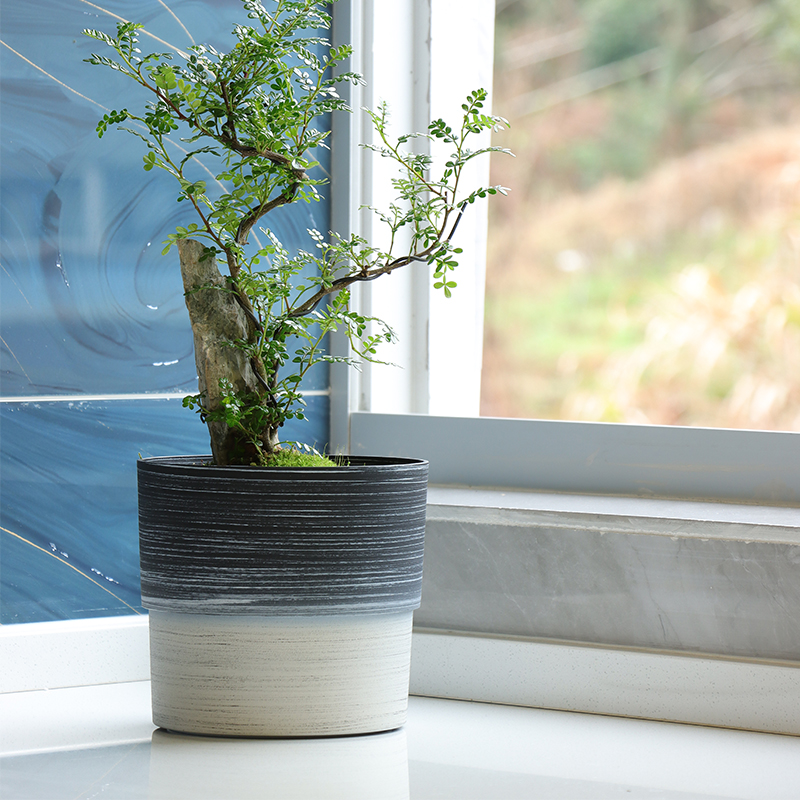 Small Desktop Decorative Flower Pots