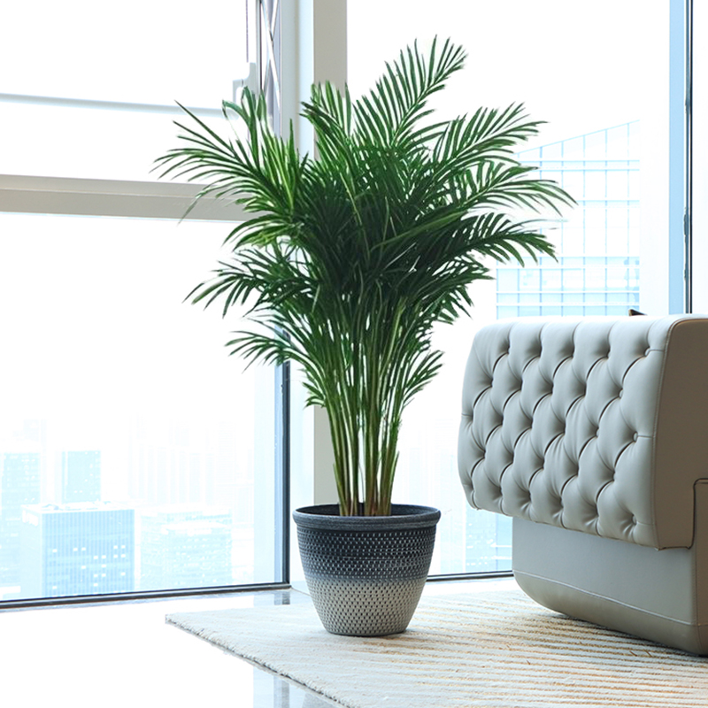 Round Multi-size Indoor Flower Pots