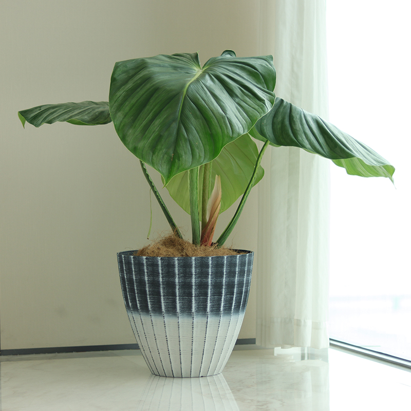 Large Indoor Decorative Flower Pots