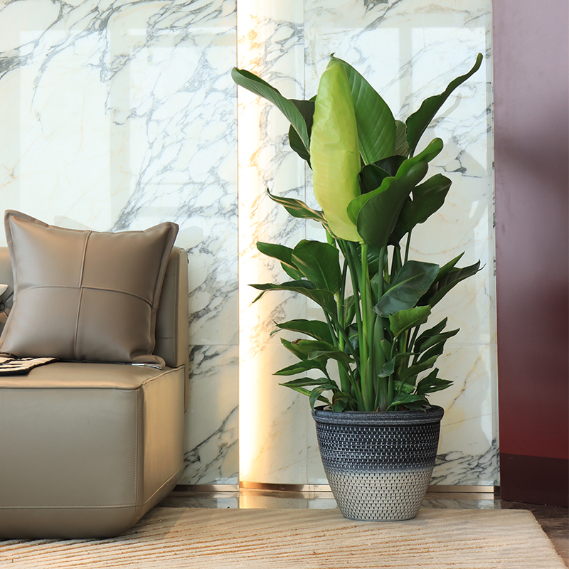 Round Multi-size Indoor Flower Pots