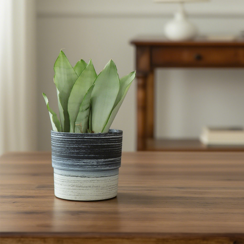 Small Desktop Decorative Flower Pots