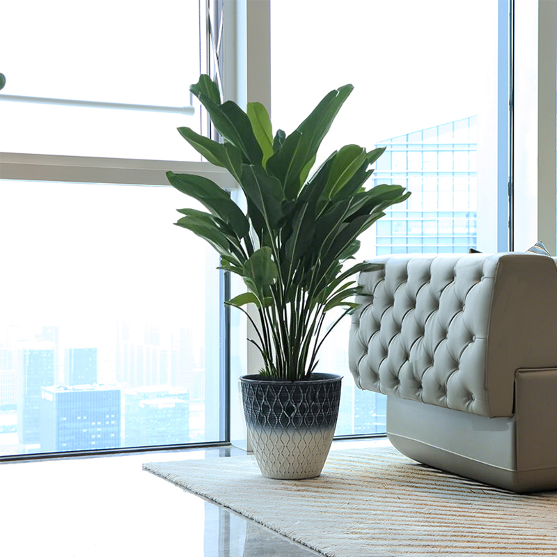 Round Corrugated Flowerpot Plant Decoration