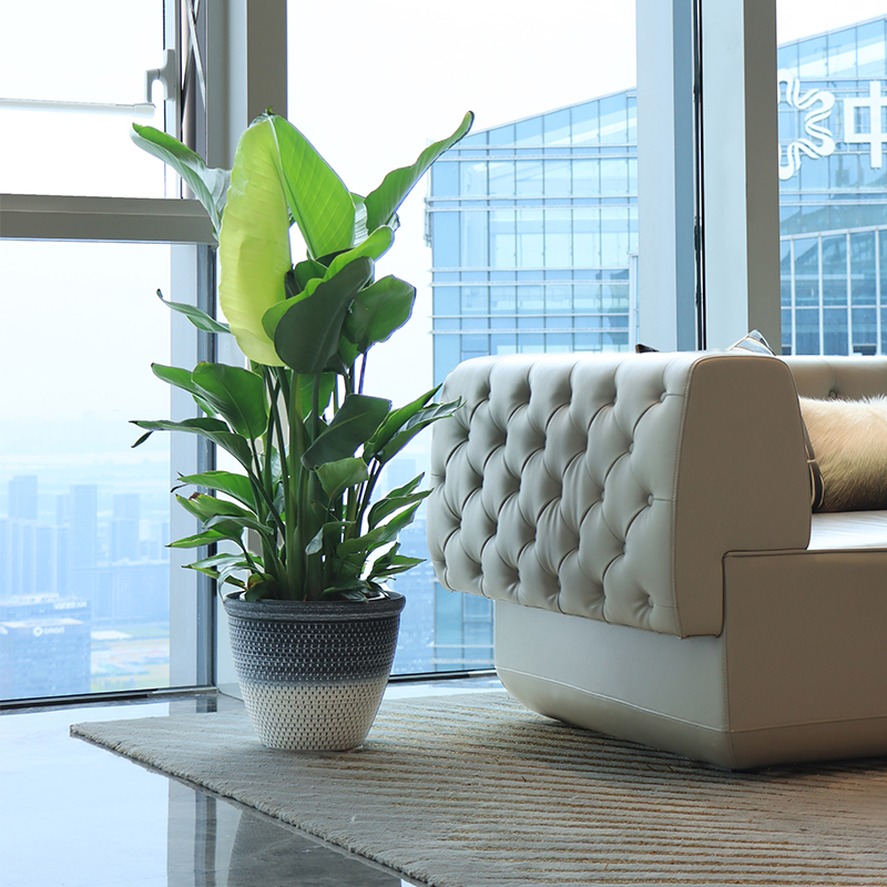 Round Multi-size Indoor Flower Pots