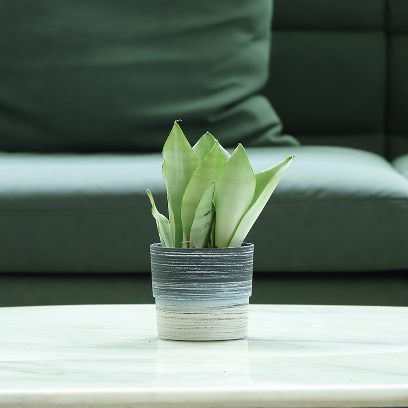 Small Desktop Decorative Flower Pots