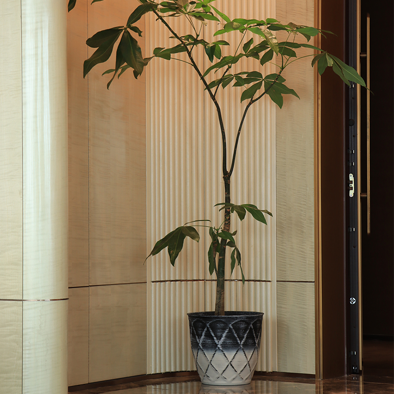 Round Indoor Decorative Flower Pot