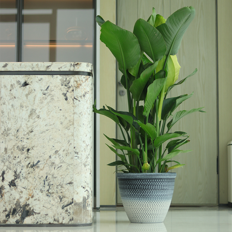 Round Multi-size Indoor Flower Pots