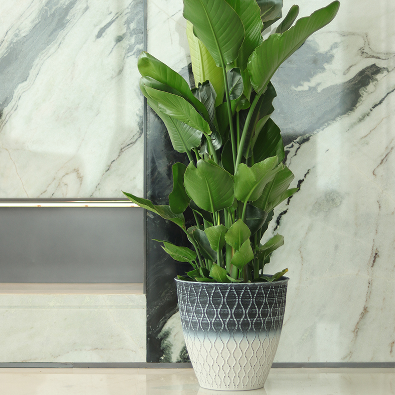 Round Corrugated Flowerpot Plant Decoration