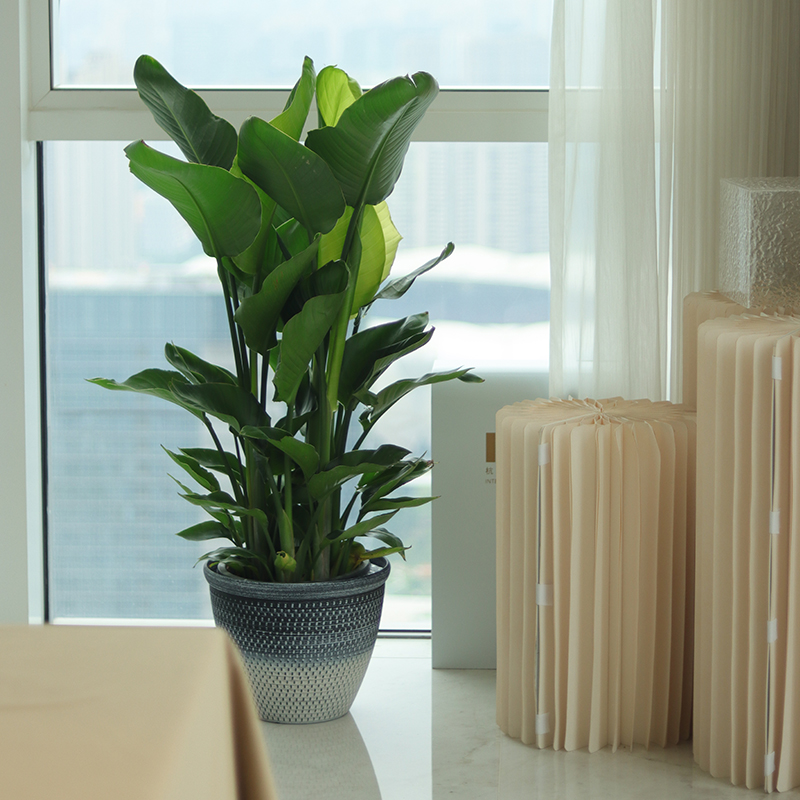 Round Multi-size Indoor Flower Pots