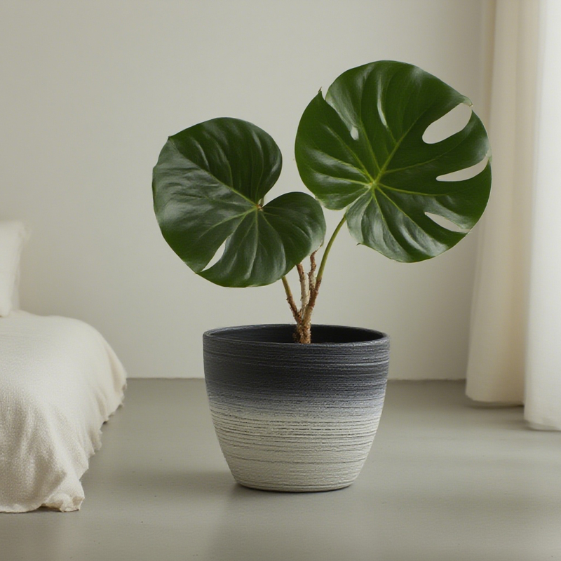 Round Sandblasting Flower Pot with Two-Color Line Drawing