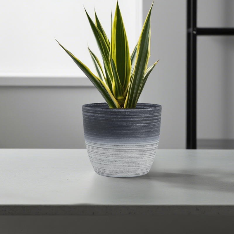 Round Sandblasting Flower Pot with Two-Color Line Drawing