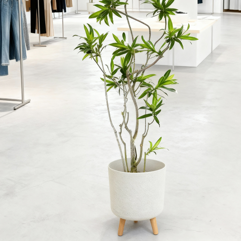 Versatile Gypsum-Like Cylindrical Planter with Wooden Legs