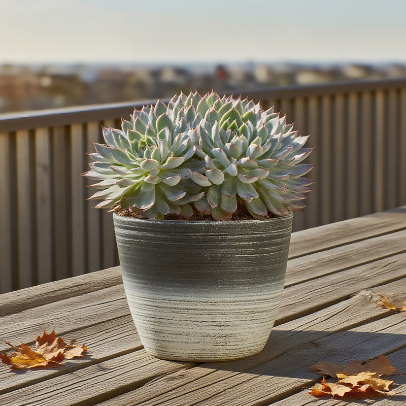 Round Sandblasting Flower Pot with Two-Color Line Drawing