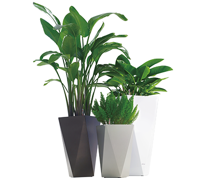 Leizisure Makes the Planting Easy